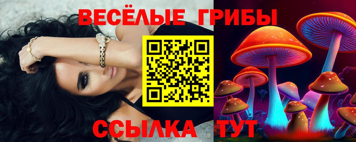 Галлюциногенные грибы Magic Shrooms  Вход с VPN  Кострома  Галлюциногенные грибы Psilocybe 